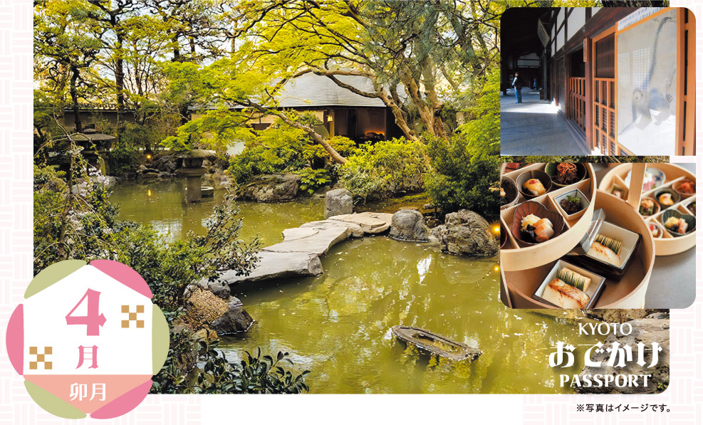 日本和装　【4月】春の南禅寺で京料理と静謐なひと時を